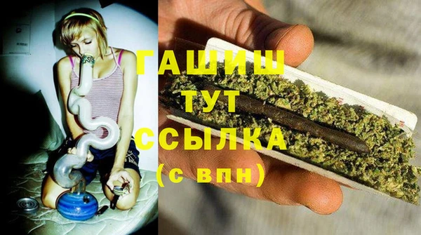 стаф Аркадак