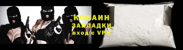 стаф Аркадак