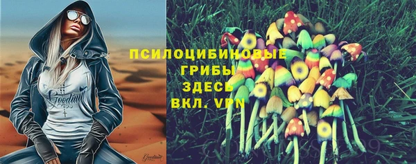 прущие грибы Арсеньев
