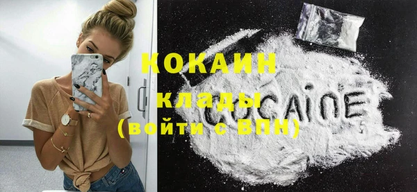 стаф Аркадак