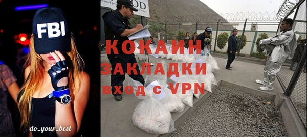 стаф Аркадак