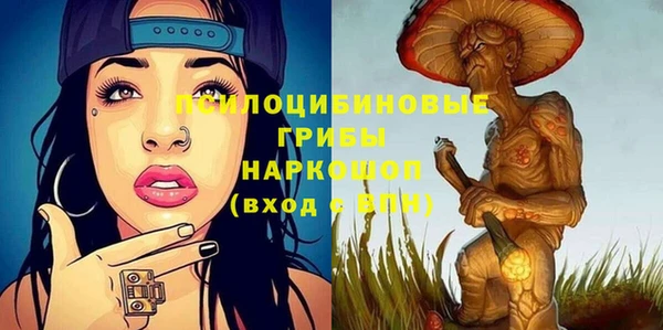 стаф Аркадак
