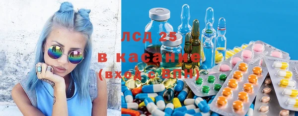стаф Аркадак