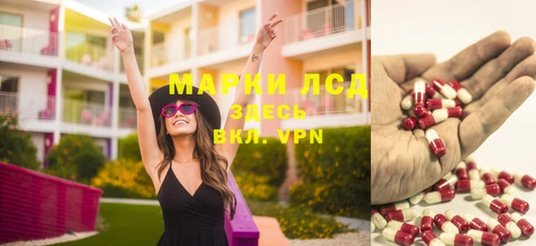 прущие грибы Арсеньев