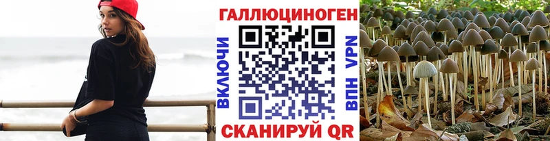 ОМГ ОМГ рабочий сайт  Чебаркуль  Галлюциногенные грибы GOLDEN TEACHER  дарнет шоп 